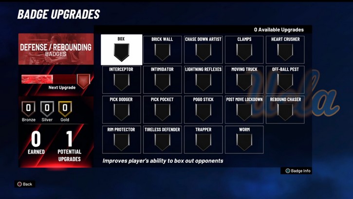 Defense and Rebounding Badges