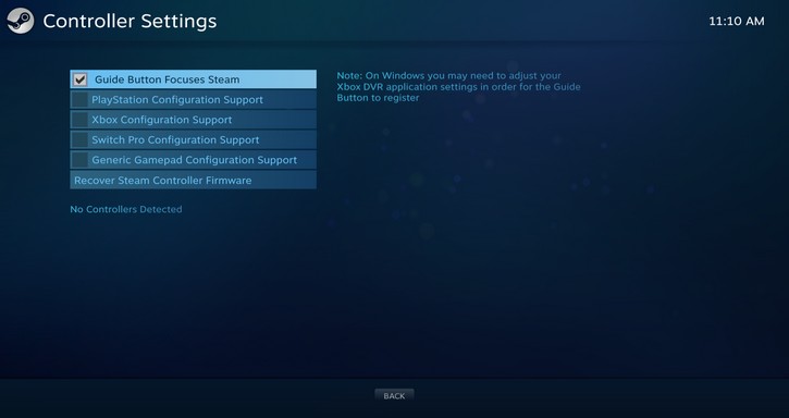 Steam Big Picture Controller Support