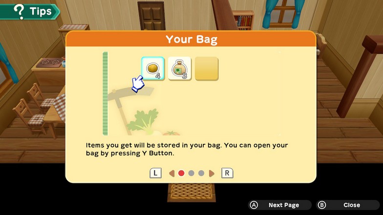 Bag Tips 2