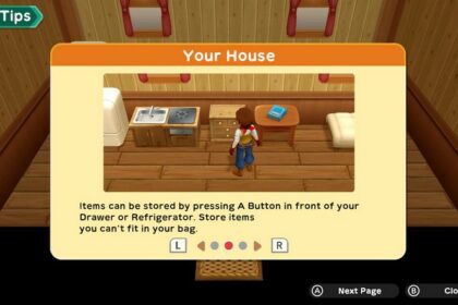 Storing Items in Harvest Moon One World
