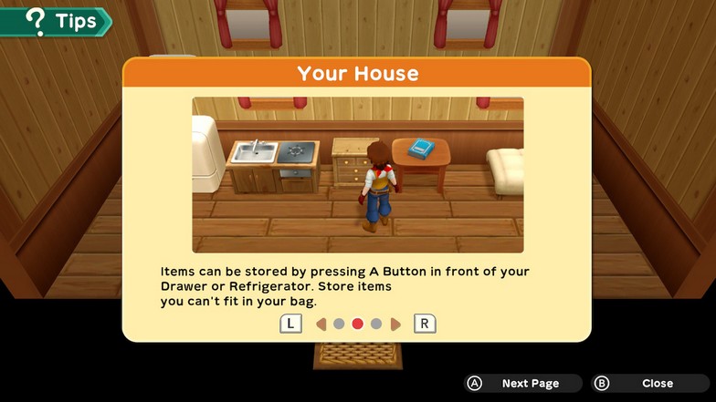 Storing Items in Harvest Moon One World