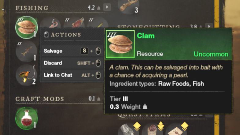 clam information