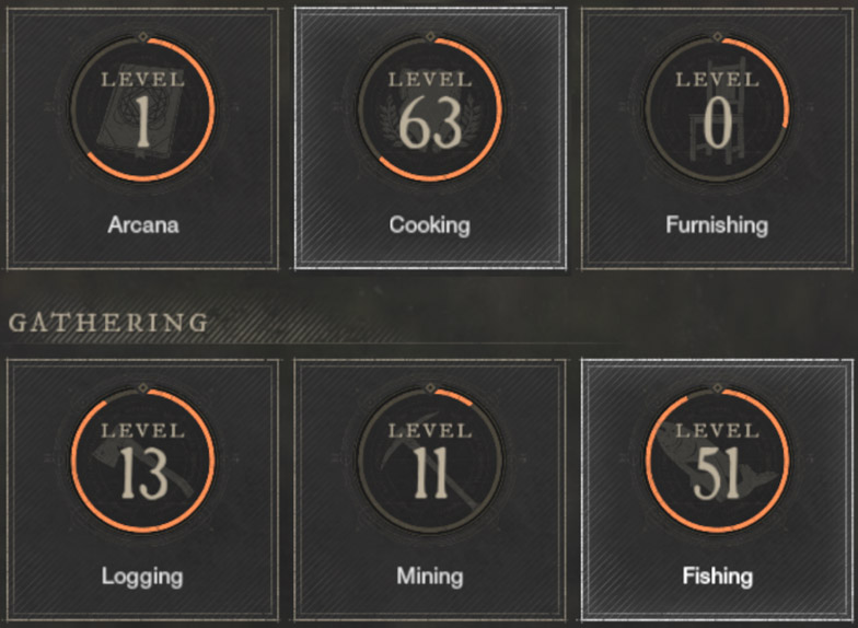 cooking level 63