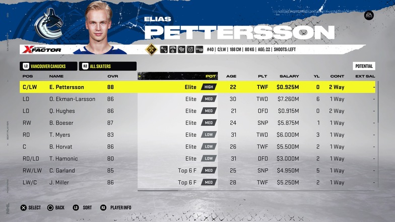 Pettersson potential