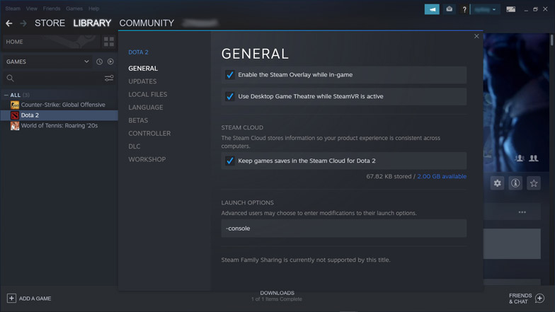 how-to-open-console-in-dota-2-diamondlobby