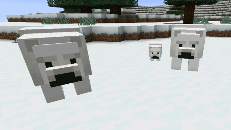 How to Breed Polar Bears in Minecraft | DiamondLobby