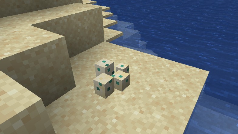 to Hatch Turtle Eggs in Minecraft (Easy