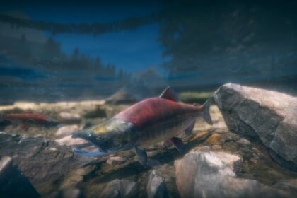 best fishing games ps5