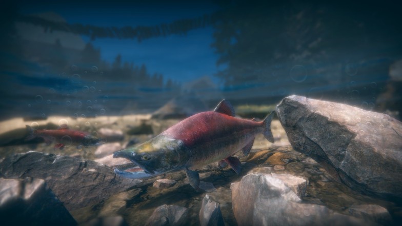 The Best Fishing Games for PS5