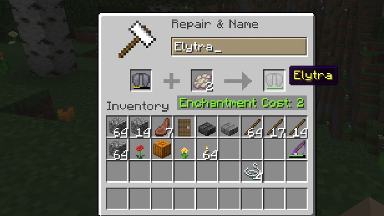 Elytra Fix