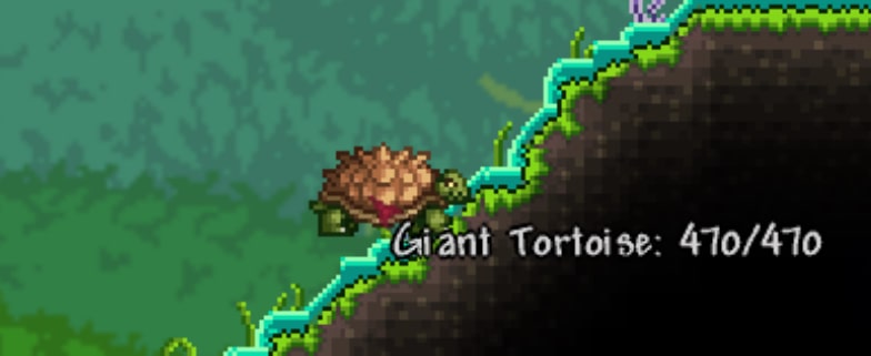 gianttortoise