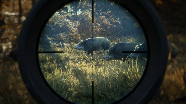 thehunter call of the wild 784x