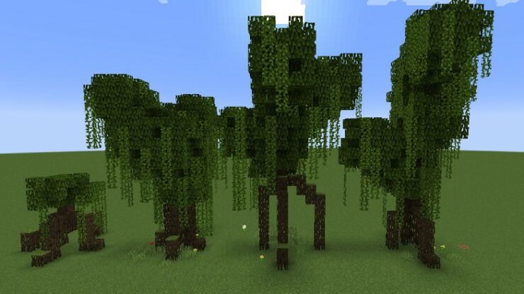 Growing Mangrove Trees Minecraft