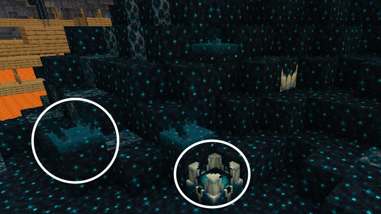 Many have pointed out the similarties between the sculk and the end portal  but I'd like to show how similar the sculk sensor and the warped forest  vegetation looks. : r/MinecraftConspiracies