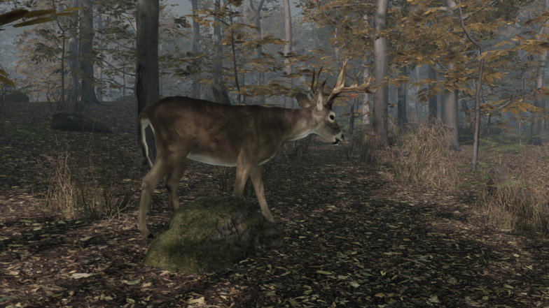 best hunting games steam pro deer hunting 2