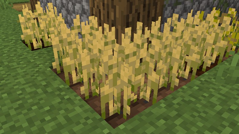 minecraft wheat