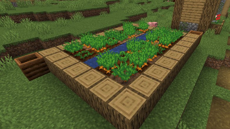 minecraft-carrot-seeds