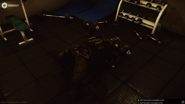 Gyming Tarkov