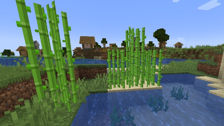Minecraft Sugarcane
