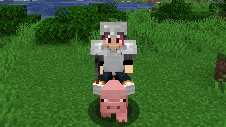 Riding a Pig